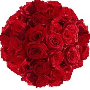 Meet your Posher, Eman